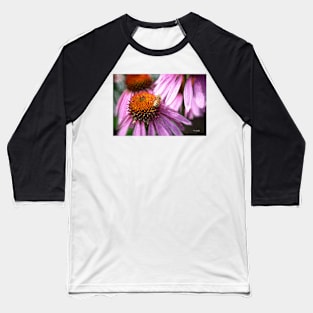 Honeybee on the Coneflower Baseball T-Shirt